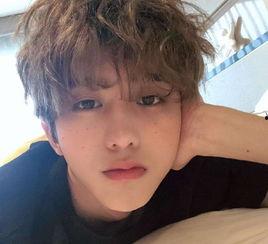 娱乐八卦爆料刘耀文,神秘女友身份引网友热议