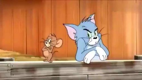 猫抓老鼠爆料配图大全视频,揭秘热门视频背后的趣味瞬间